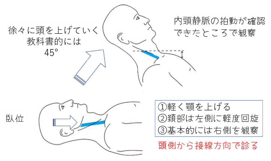 基礎系、最強の参考書 - Denticola｜歯科医師国家試験のポイント