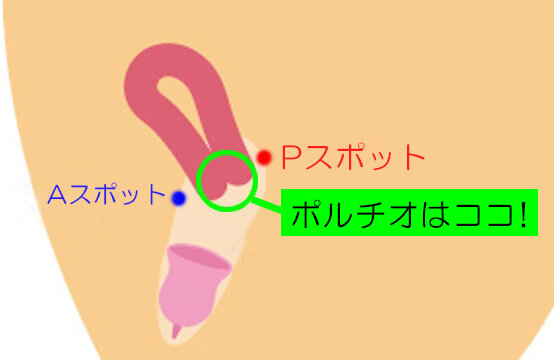 中イキってどんな感覚？開発方法・コツ・できない原因を産婦人科専門医が徹底解説！ | 腟ペディア（チツペディア）