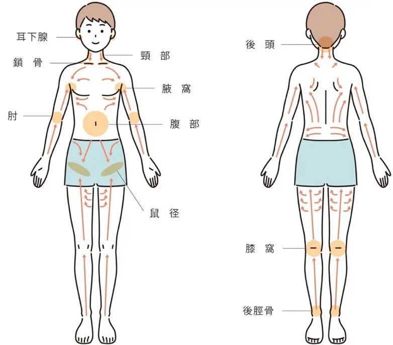 ６部位を効果的に狙う、リンパマッサージのやり方【まとめ】 | 美的.com