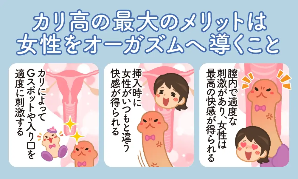 カリ高】ペニス亀頭特化チントレ４選【図解・動画解説】 | セクテクサイト