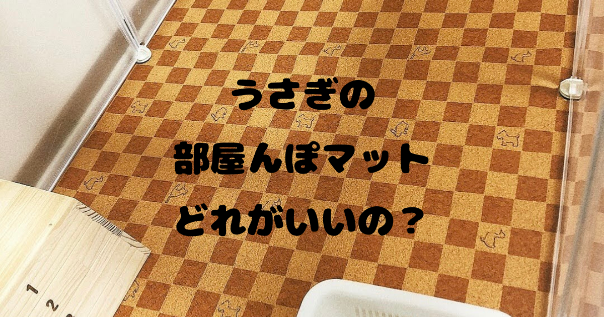 04月夜のうさぎを探検する～滞在部屋編（ドーミーめぐり２０１７その４）』出雲市(島根県)の旅行記・ブログ by くに・クマさん【フォートラベル】