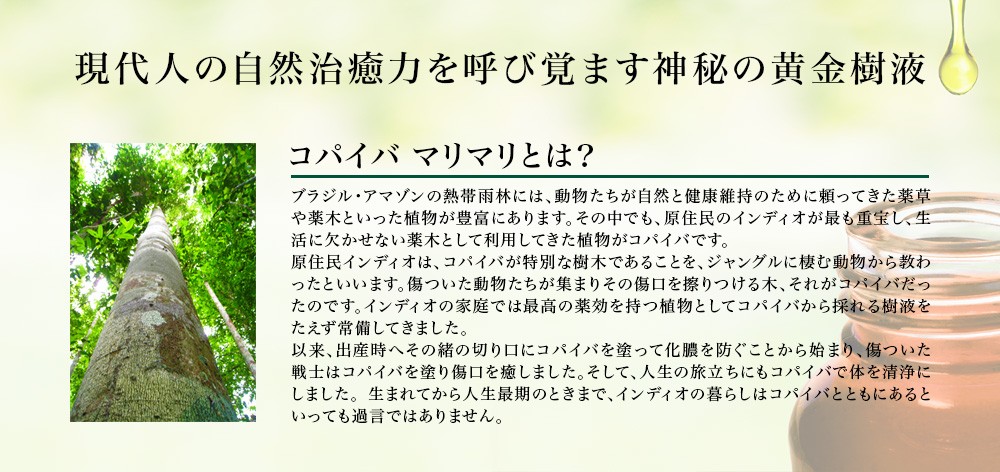 Amazon.co.jp: コパイバ マリマリ10ml :