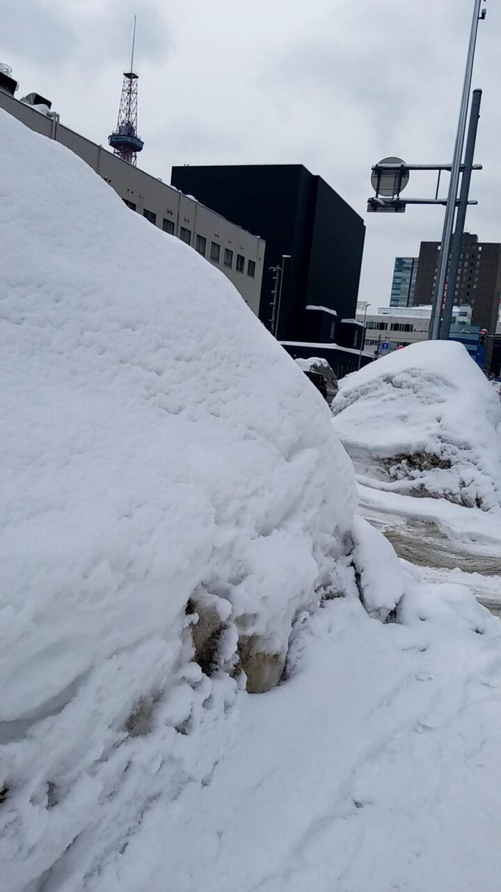 すすきの（札幌）の裏風俗 立ちんぼやちょんの間