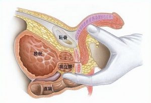 前立腺トコロテン射精：究極の快感を体験しよう！ | 桃色ピクト