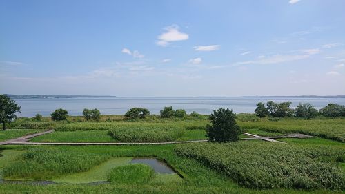 茨城県土浦市下高津1-22-17 11:30 - 15:00 17:00