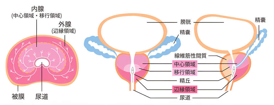 ニコニコ静画 イラスト