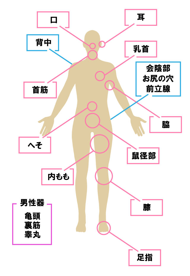 感度の高い性感帯、舌を鍛えて健やかに！性がキレイを決める 房中養生入門 其の十八 |