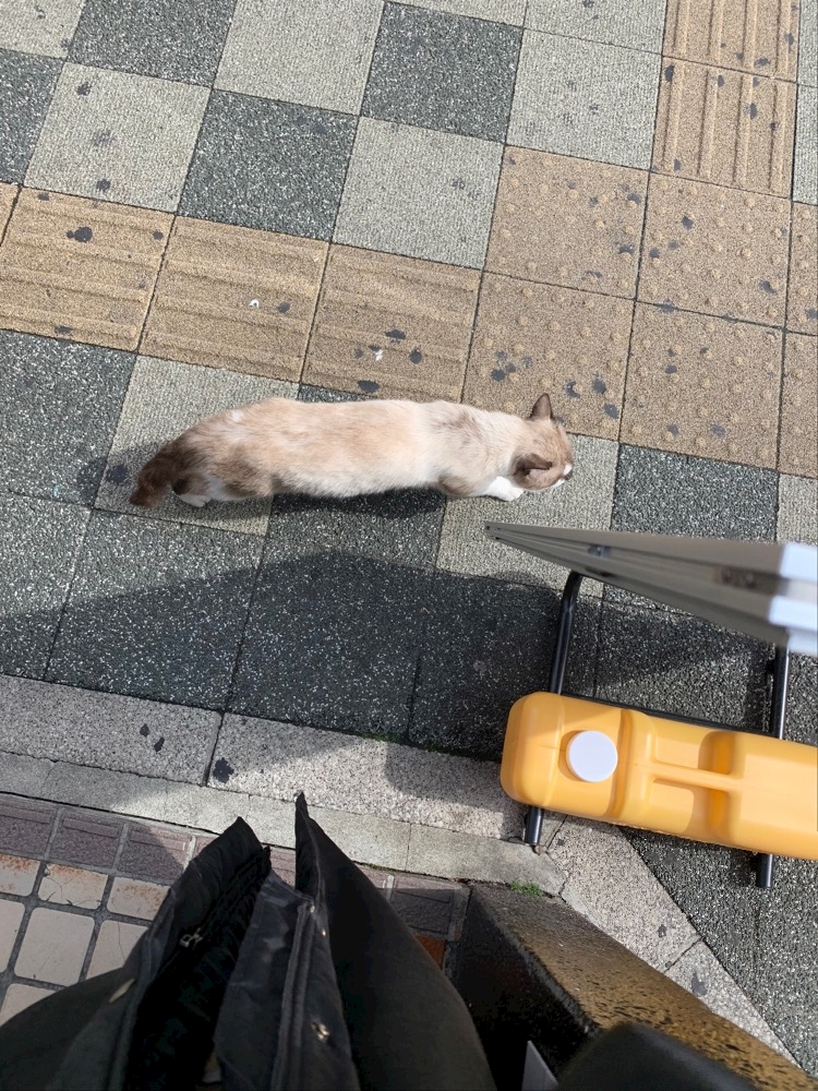 写真家・近未来探険家 酒井透のニッポン秘境探訪】青森県五所川原市の「謎の小学生教祖」｜実話ナックルズnoteマガジン