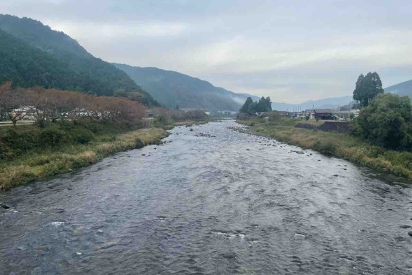 7月30日 郡上大和長良川の様子 :