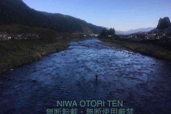 郡上大和長良川の様子, 午後6時20分頃, 水位　＋70cm程度高, 昼に1.5〜1.6m程度増水していましたが、ここまで下がりました。,