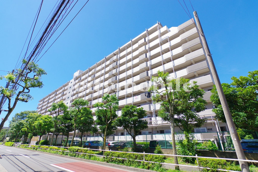 青戸第一団地のくらし（東京都）｜UR賃貸住宅