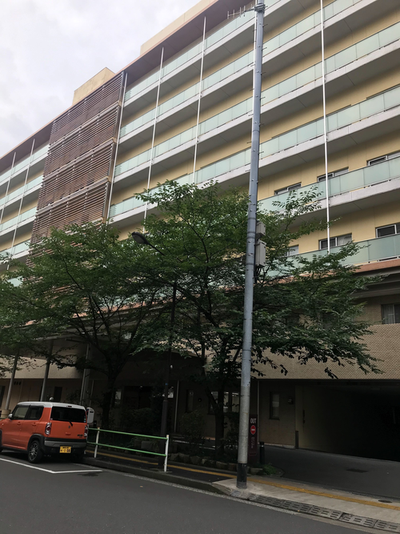 東銀座駅の特別養護老人ホーム一覧 ｜みんなの介護