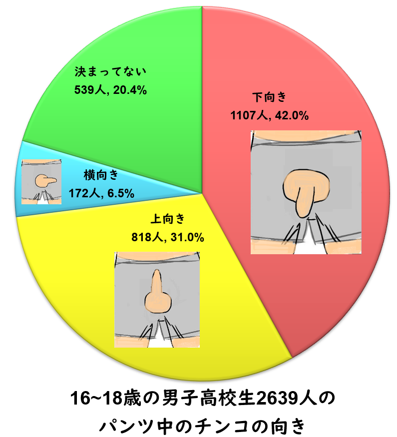 女性に好かれる上反りペニスとは？上向きペニスとの違いやトレーニング方法など | ザヘルプM