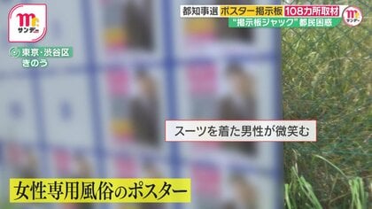 NHK党“掲示板ジャック”で都知事選の候補者ポスターに犬や猫が？ 掲示板スペースが足りなくなる？ 自治体が混乱【news23】 | TBS