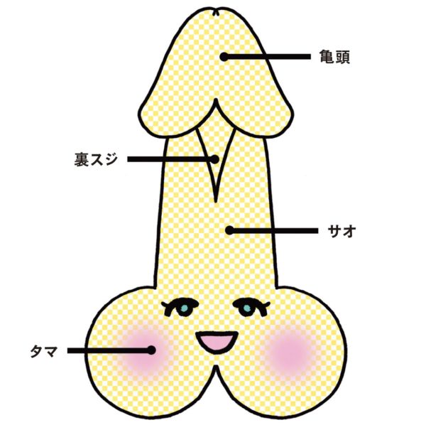 AV男優しみけんのテクニックをまとめてみた！キス・触り方・愛撫・挿入など神テクから学ぼう | Men's Chinchi