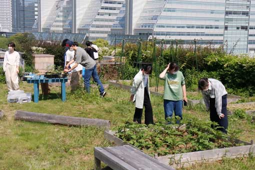 國學院大學の2025年度偏差値・入試難易度【スタディサプリ 進路】