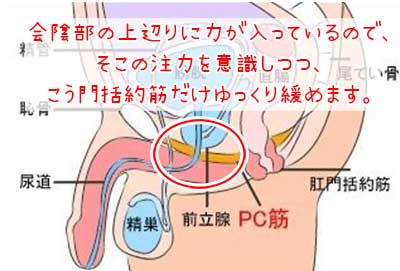 【自然と絶倫！】正しいマスターベーション方法６選