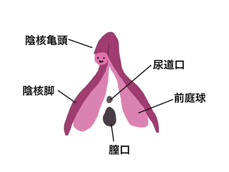 気持ちいい”を科学する - はなしちゃお!