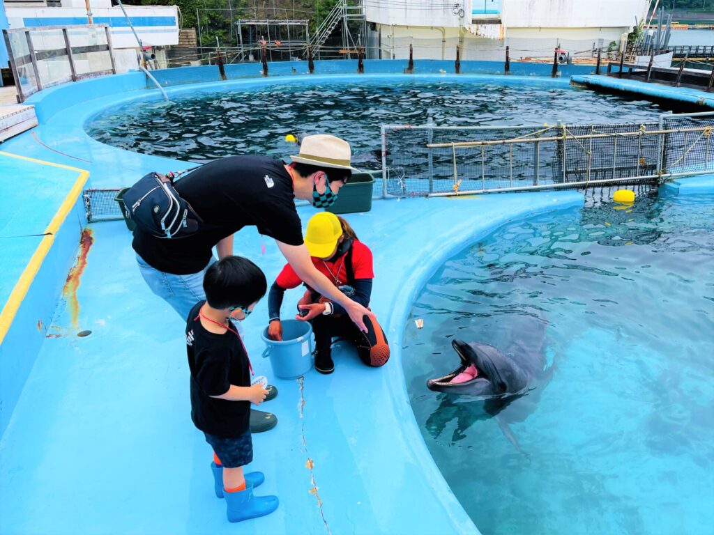 岐阜県 岐阜市 ホテル