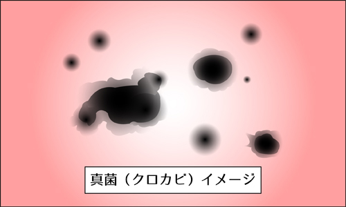 信長トイズでしか手に入らないオナホ⁉ライドジャパンさんの『限定版バリカタ天下一穴挟まれ変化 信長トイズ30周年記念作品』！