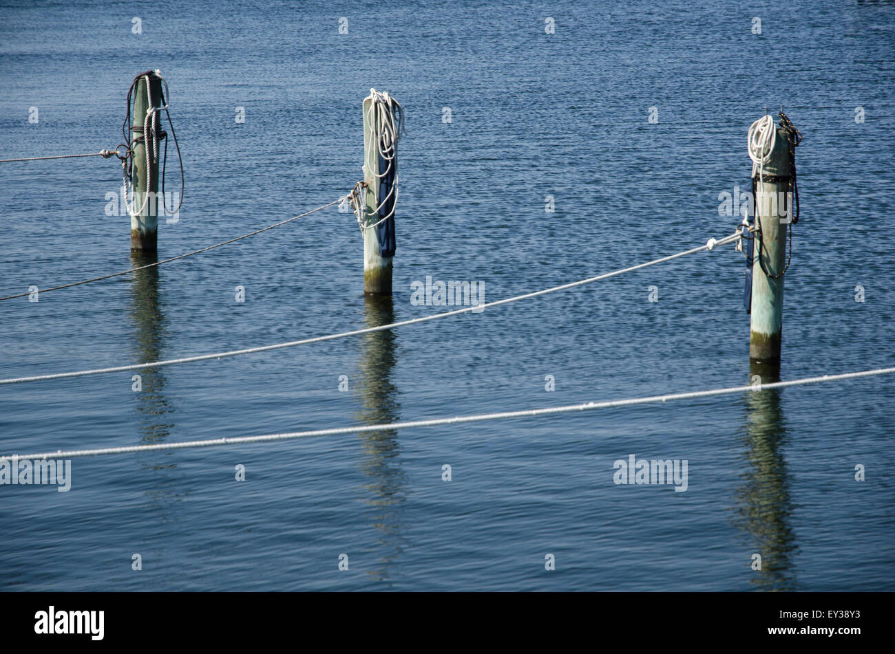 Wooden Pole Sticking