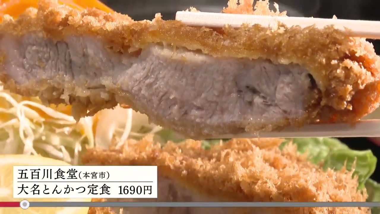 飲めるハンバーグと『とんかつ大政』(小山) | おりおんの気まぐれ放浪記