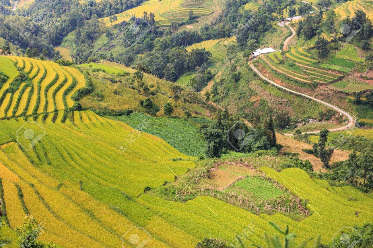 サパ中心部の建物高さを制限へ、建設省がラオカイ省案に見解 [観光] - VIETJOベトナムニュース