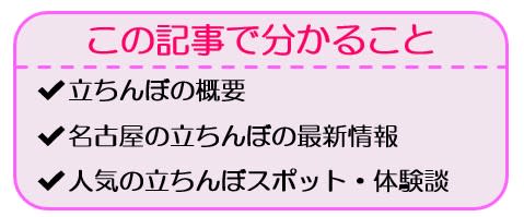 名古屋の立ちんぼパラダイス！ 2024年最新スポット＆アドバイス –