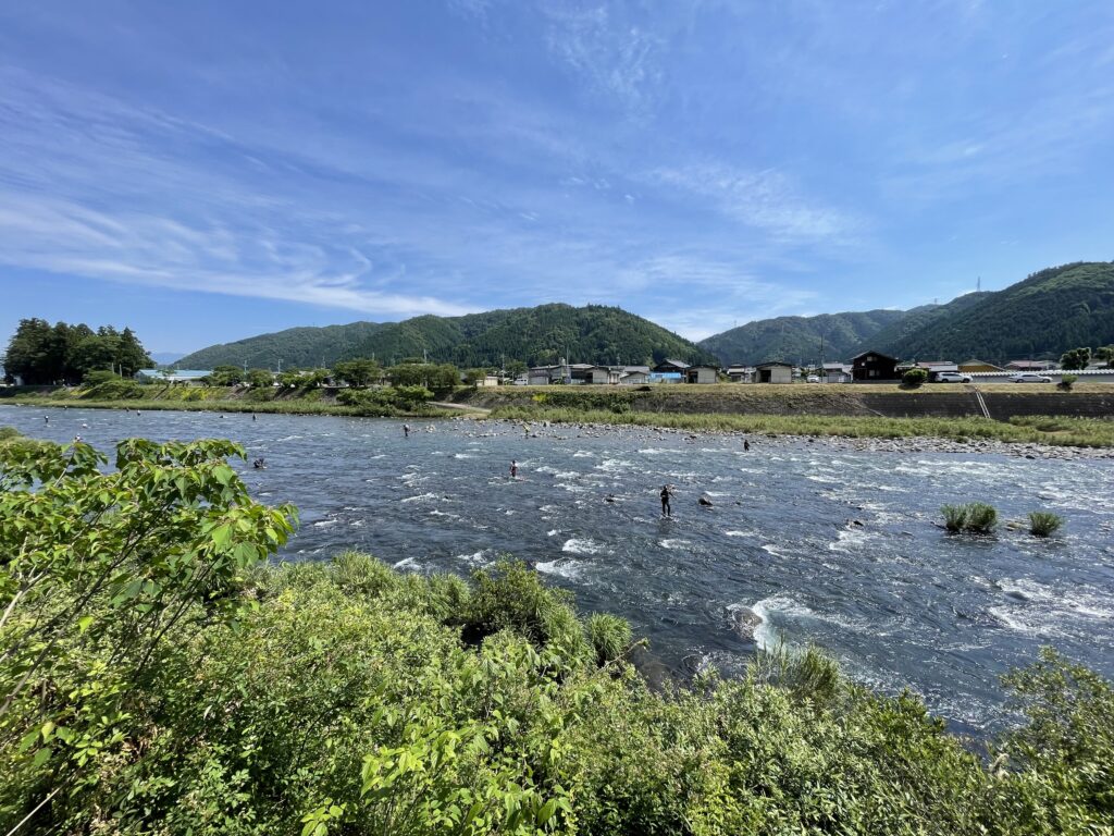 夕方の郡上大和長良川の様子 : 丹羽オトリ店のブログ New