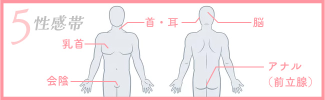 男性が気持ちいいのはどこ？性感帯別の男性を気持ちよくさせる方法 | Ray(レイ)