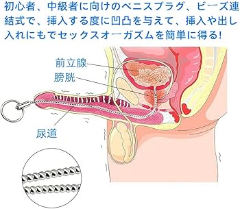 アラシキ] 尿道から前立腺グリグリする漫画。 |