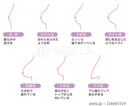 ハリのあるおわん型バストに｜育乳専門店 Tulipe(Tulipe所属)のエステ・リラクカタログ(20211129212004)｜ミニモ