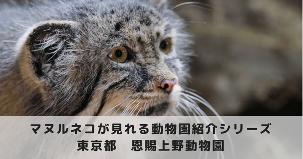 近況更新】子ども動物園すてっぷ──ふたば牧場のお年寄りたち ｜ 東京ズーネット