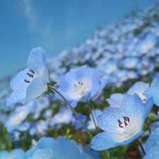 北海道・千歳 メンズエステ 妻色兼美 千歳店