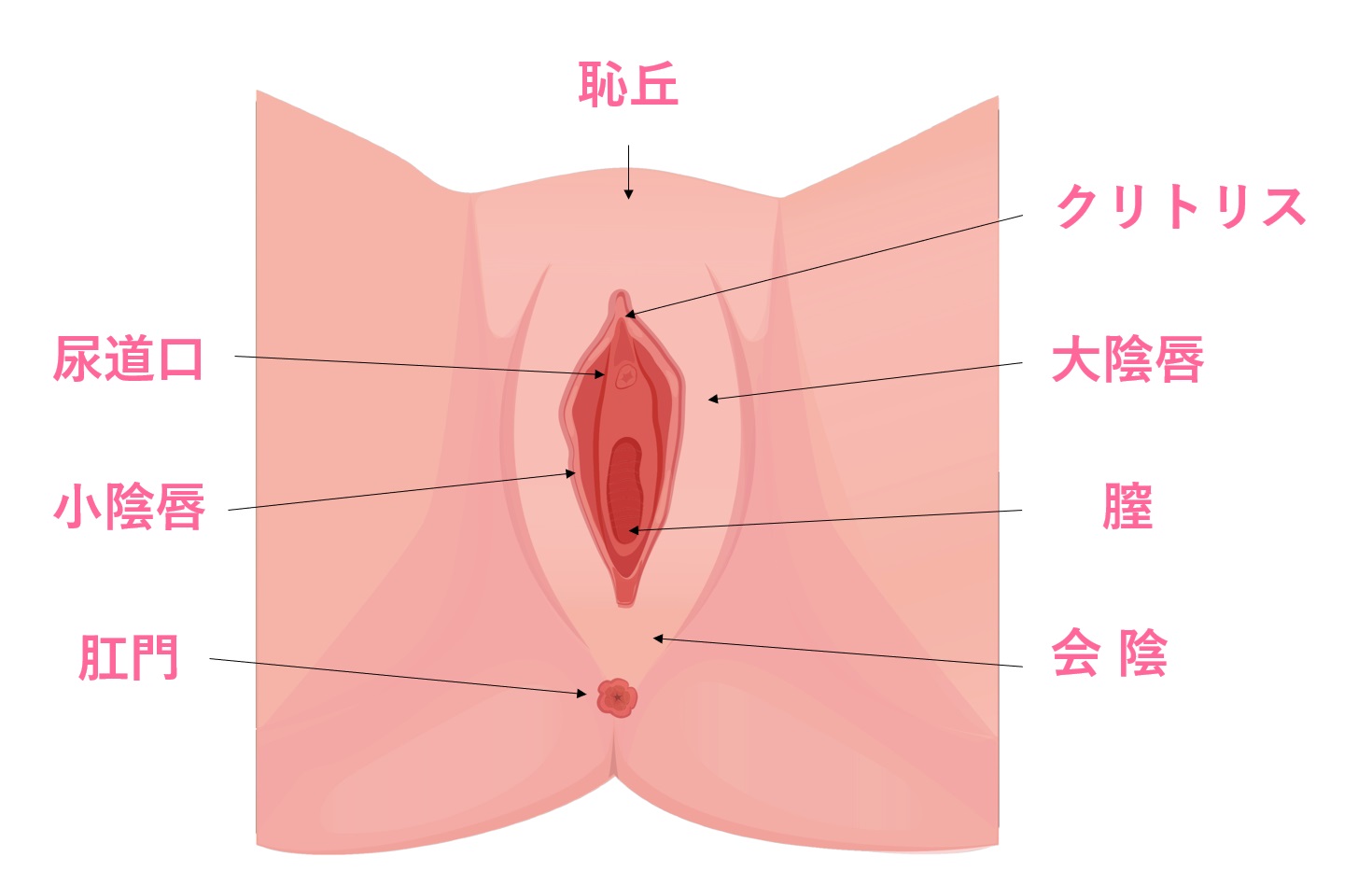 自分のVulvaを初めて見たときの衝撃 | ランドリーボックス