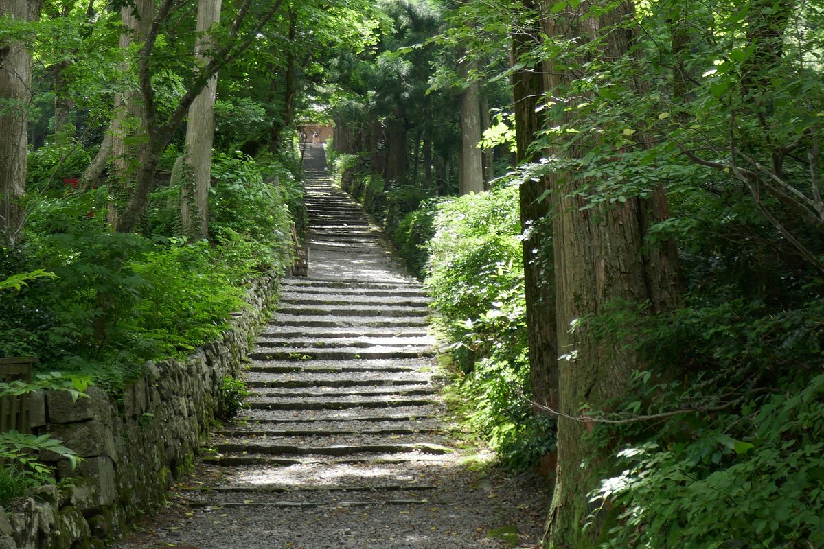 お料理｜大山・山の家シーハイル｜鳥取県のペンション