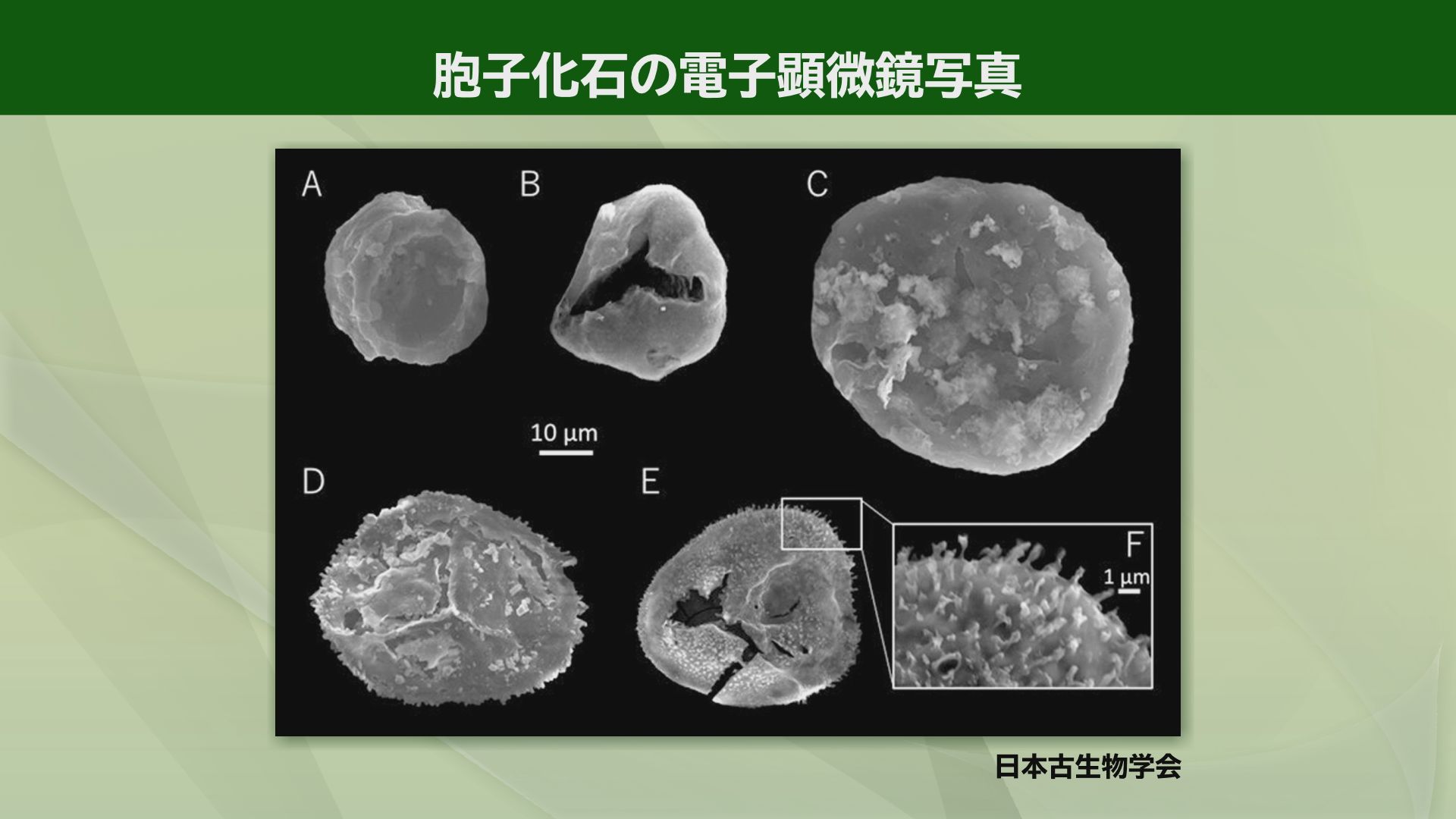 ハッピーホテル｜岩手県 大船渡市のラブホ ラブホテル一覧