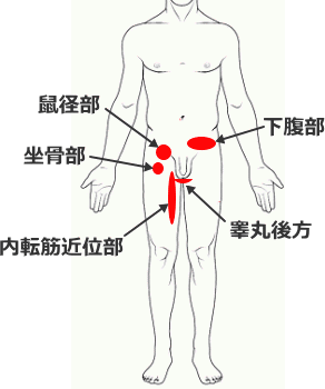 股関節の右側（左側）だけ痛い！理由と対処法について紹介 | くまのみ整骨院グループ