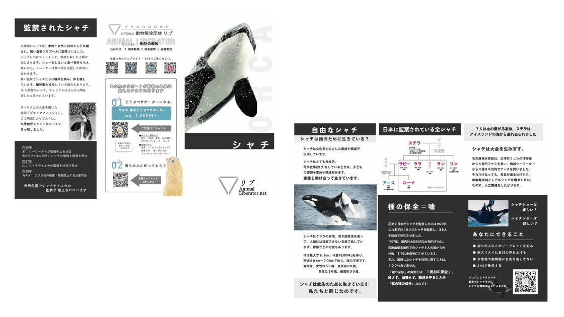 NPO法人 動物解放団体リブ | 【京都水族館 ひどいケガを負ったイルカ「シード」】