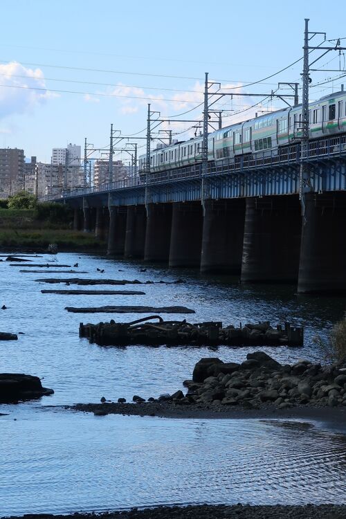 横浜・金沢区内の地域交流拠点を知って スタンプラリー開催 |