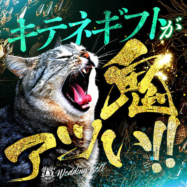 福原ソープランド「ウェディングベル」を徹底調査！料金や特徴、おすすめの嬢や口コミなども合わせてご紹介！ - 風俗の友