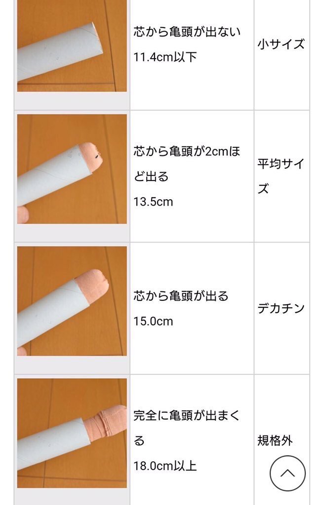 23~25歳（若手社会人）男性503人のチンコのサイズ | 中学生・高校生のチンコとセックスの調査