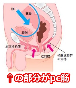 OtoLABO みんなの体験談 -