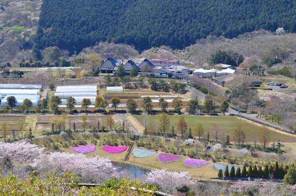 道の駅 くんま水車の里 | 静岡県の農家レストラン |