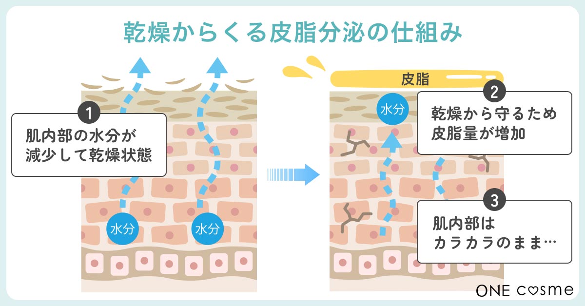 鼻のテカリ】「どうして最近、鼻の頭がテカるのか？」のお話です。