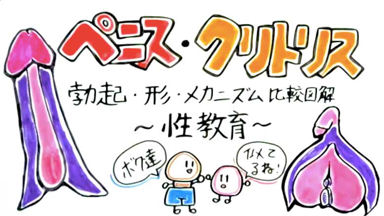 クリトリス勃起とは？勃つ理由とやり方 - 夜の保健室