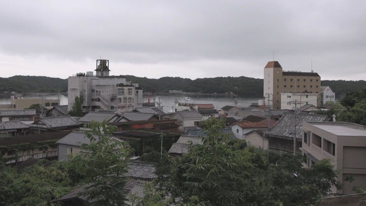 楽天Kobo電子書籍ストア: 売春島「最後の桃源郷」渡鹿野島ルポ - 高木瑞穂 -