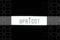 aPRICOT (アプリコット) / 広島市中区｜カップルズ