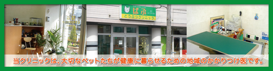 医院案内｜ななしまクリニック 横浜市神奈川区七島町の内科・呼吸器内科・アレルギー科・循環器内科・小児科