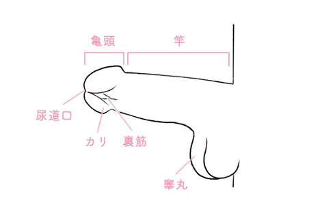 気持ちいいローションフェラには3つのポイントがある！＋αのテクや注意点も解説｜駅ちか！風俗雑記帳